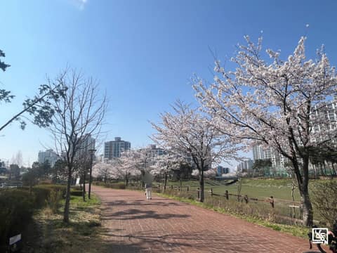 서창동 물빛공원 산책길 사진 10