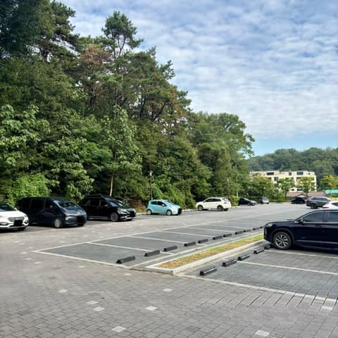부락산등산로 사진 6