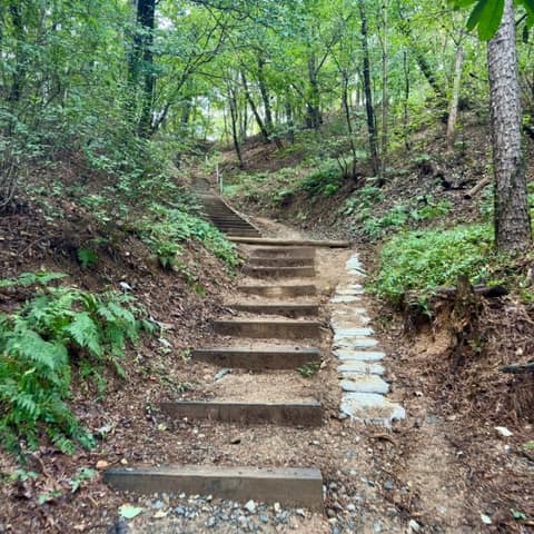 부락산등산로 사진 7