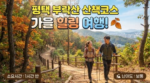 부락산등산로 사진 8