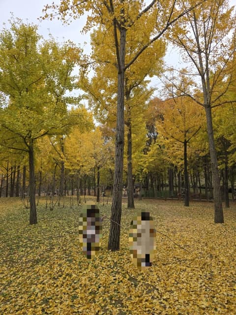 하남 나무고아원 산책길 사진 4