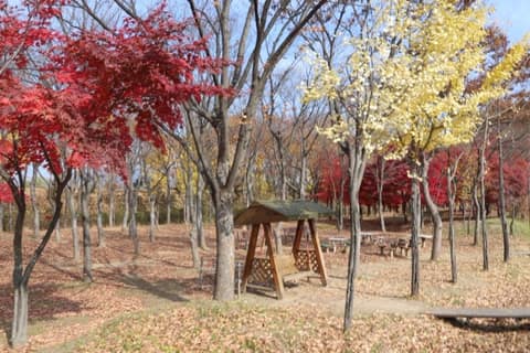 하남 나무고아원 산책길 사진 5