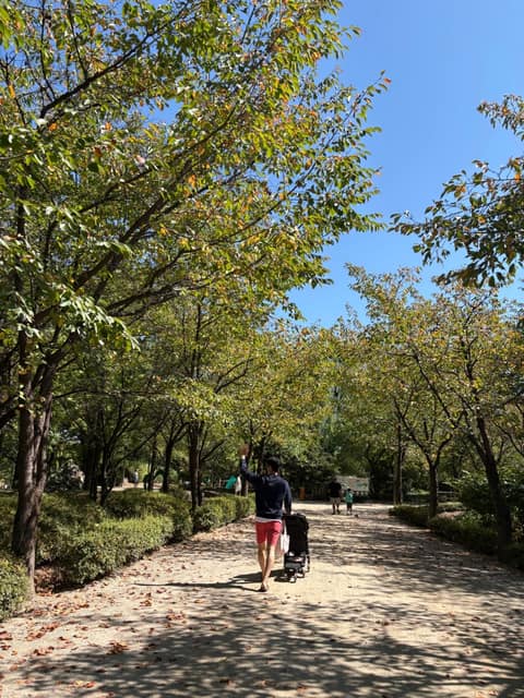 하남 나무고아원 산책길 사진 6