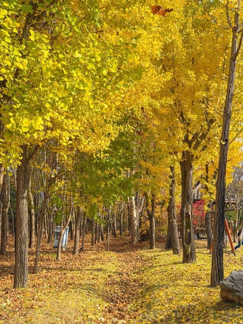 하남 나무고아원 산책길 사진 8