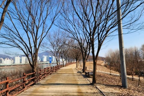 하남 나무고아원 산책길 사진 10