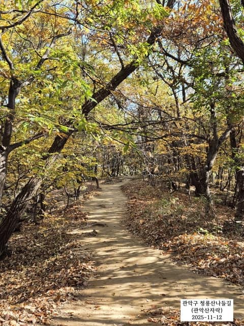청룡산 나들길 사진 1