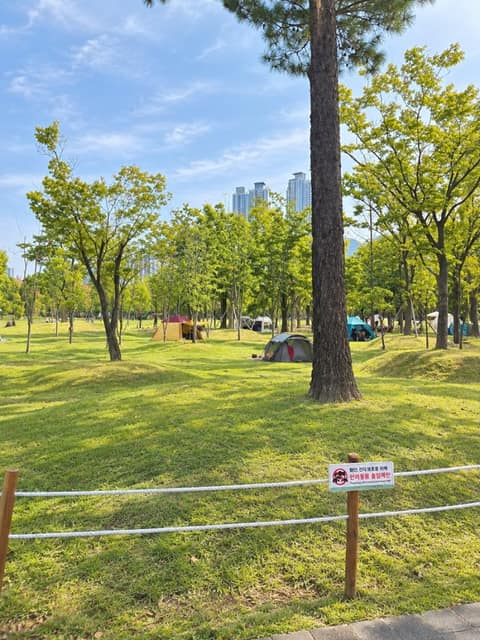 부산시민공원 산책길 사진 2