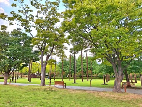 부산시민공원 산책길 사진 3