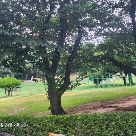 영신군이이묘-경인교대 산책코스 사진 1