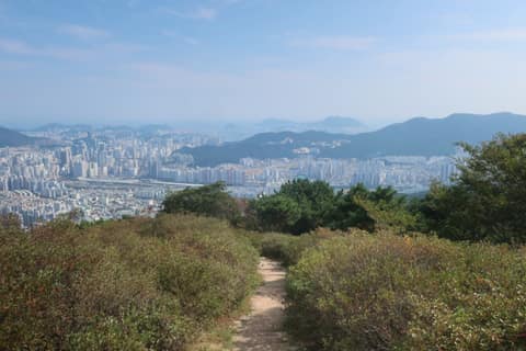 백양산 체험형 웰빙숲길 사진 6