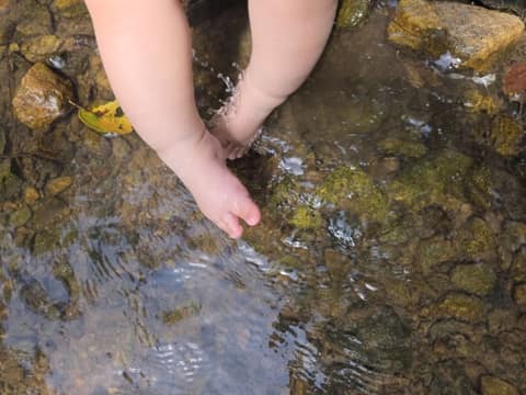 백양산 체험형 웰빙숲길 사진 8