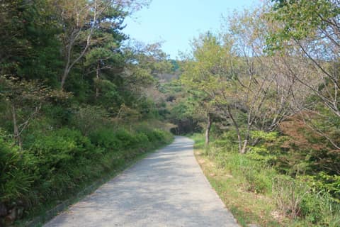 백양산 체험형 웰빙숲길 사진 9