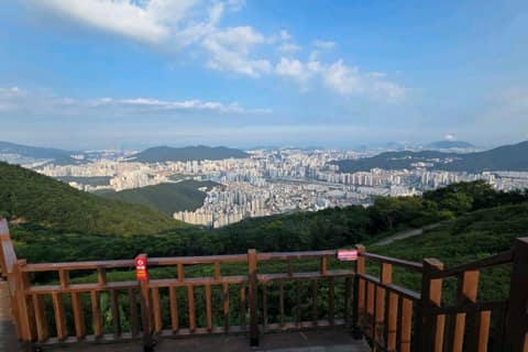 백양산 체험형 웰빙숲길 사진 10