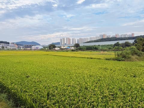 서랑저수지 산책길 사진 2