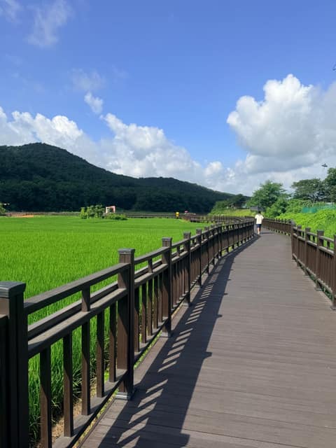 서랑저수지 산책길 사진 3
