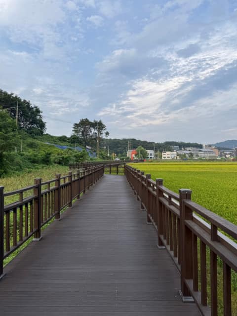 서랑저수지 산책길 사진 7