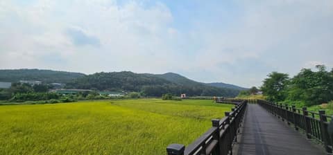 서랑저수지 산책길 사진 10