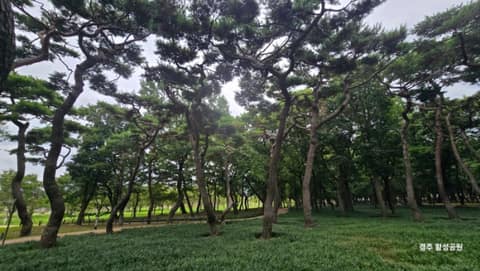 황성공원 산책길 사진 1