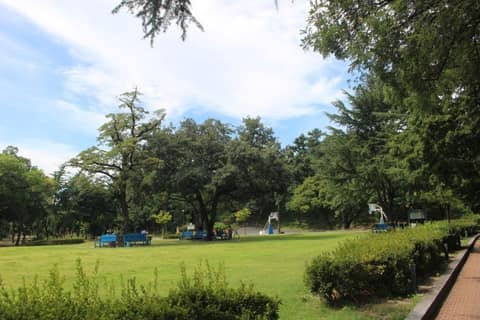 황성공원 산책길 사진 2