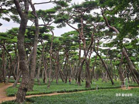 황성공원 산책길 사진 3