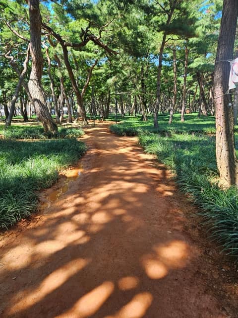 황성공원 산책길 사진 5