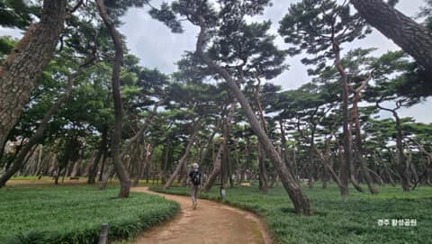 황성공원 산책길 사진 6