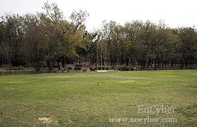황성공원 산책길 사진 7