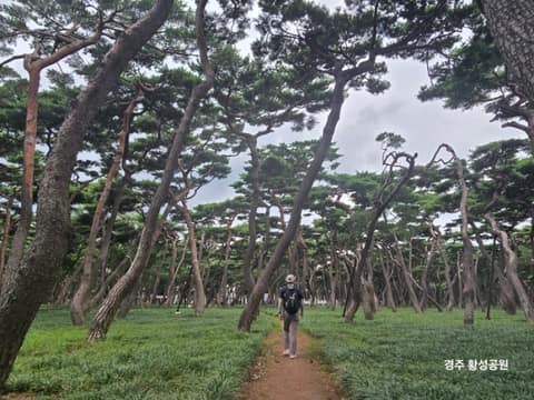 황성공원 산책길 사진 8