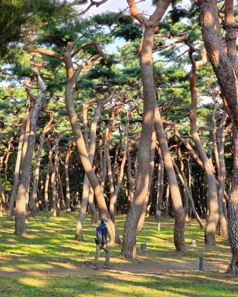 황성공원 산책길 사진 9