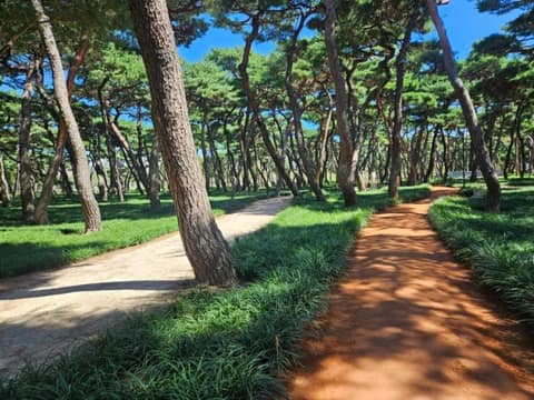 황성공원 산책길 사진 10