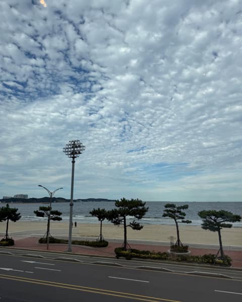 포항 송도해수욕장 산책길 사진 1