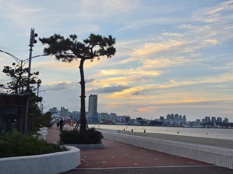 포항 송도해수욕장 산책길 사진 6