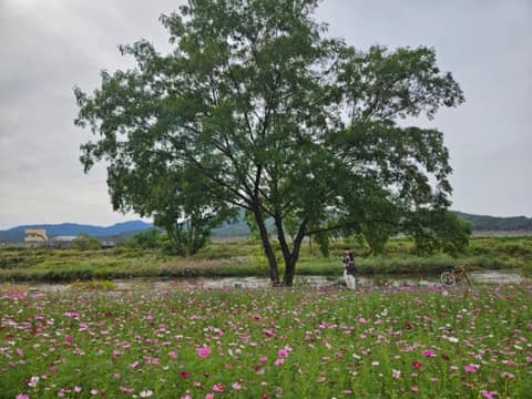 탄천 산책길 사진 1