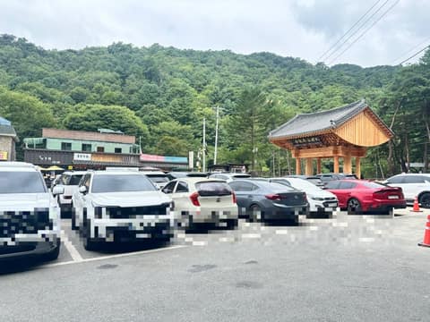 수타사 생태숲 산책길 사진 6
