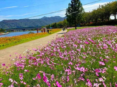 광양 서천변 산책길 사진 3
