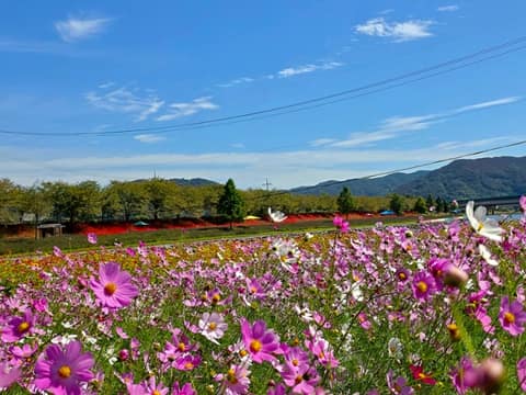 광양 서천변 산책길 사진 4