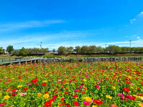 광양 서천변 산책길 사진 7