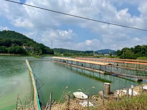 과림저수지 산책길 사진 4
