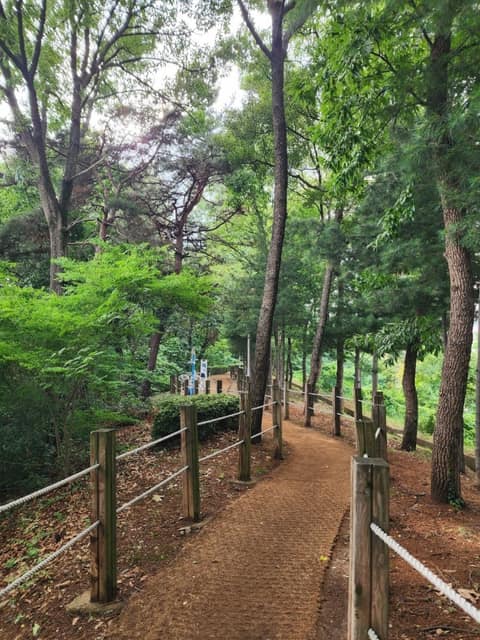 평택 무성산 둘레길 사진 3