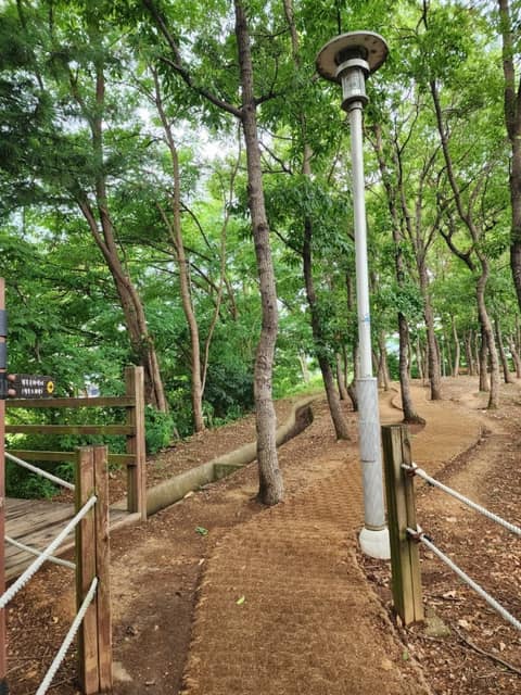 평택 무성산 둘레길 사진 5