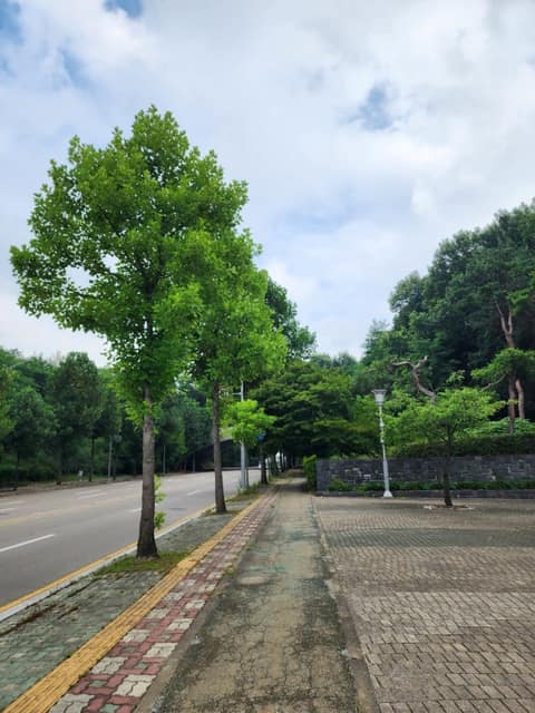 평택 무성산 둘레길 사진 7