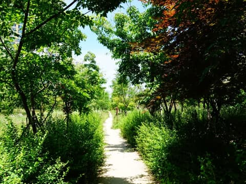 용정근린공원 산책길 사진 1