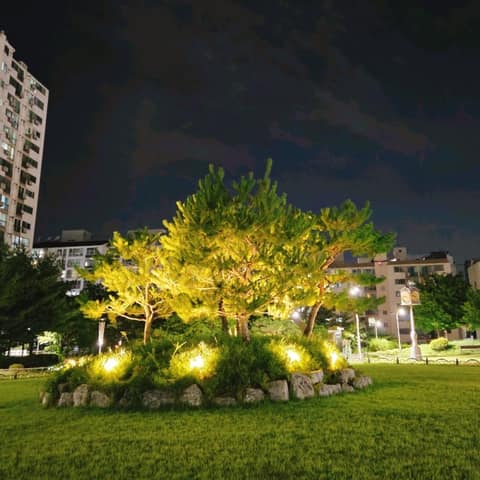 용정근린공원 산책길 사진 2
