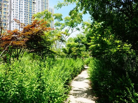 용정근린공원 산책길 사진 4