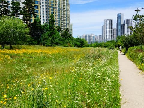 용정근린공원 산책길 사진 5