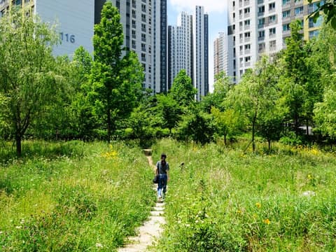 용정근린공원 산책길 사진 6