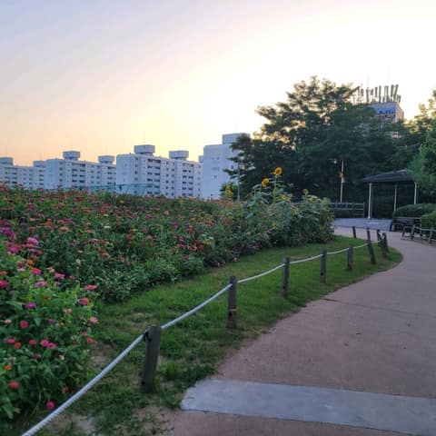 용정근린공원 산책길 사진 7