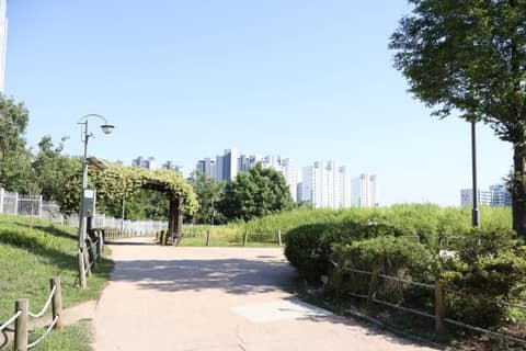 용정근린공원 산책길 사진 8