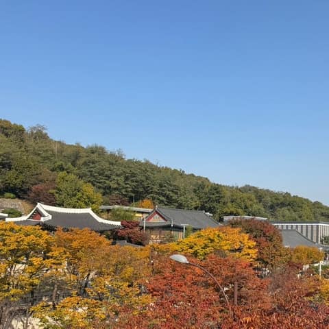 용정근린공원 산책길 사진 9