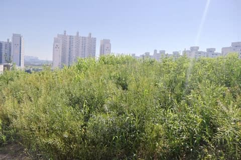 용정근린공원 산책길 사진 10